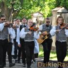 zdjęcie nr 9