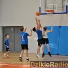 Fotka nr 1 z 251