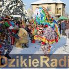 Fotka nr 5 z 7