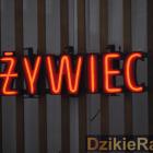 zdjęcie nr 17