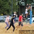 zdjęcie nr 236