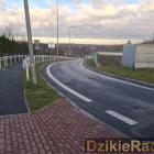 zdjęcie nr 8