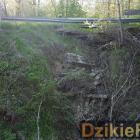 Fotka nr 2 z 15