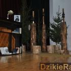 Fot. Dzikieradio