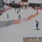 Fotka nr 5 z 274