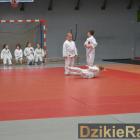 zdjęcie nr 13
