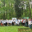 zdjęcie nr 12