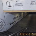 Fotka nr 0 z 7