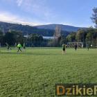 zdjęcie nr 191