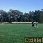 zdjęcie nr 189