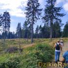 Fotka nr 4 z 11