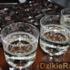 zdjęcie nr 45