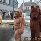 zdjęcie nr 31
