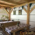 zdjęcie nr 8