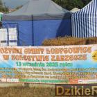 zdjęcie nr 282