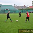 zdjęcie nr 15