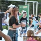 zdjęcie nr 16