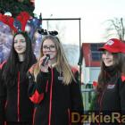 zdjęcie nr 88
