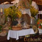 zdjęcie nr 37