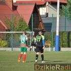zdjęcie nr 42
