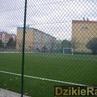 zdjęcie nr 42