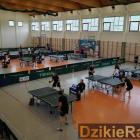 zdjęcie nr 14