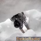 Fot. GOPR Karkonosze 