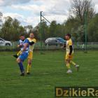 zdjęcie nr 27