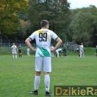 zdjęcie nr 11
