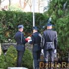 zdjęcie nr 157
