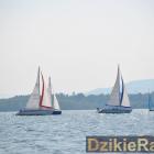 zdjęcie nr 208