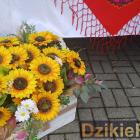 zdjęcie nr 100