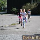 Fotka nr 5 z 111