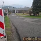 Fotka nr 2 z 3