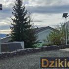 Fot: DzikieRadio