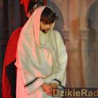 zdjęcie nr 255