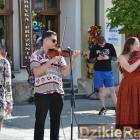 Fotka nr 5 z 22