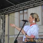 zdjęcie nr 232