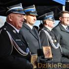 zdjęcie nr 125