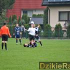 zdjęcie nr 132
