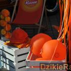 Fotka nr 4 z 27