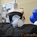 zdjęcie nr 12