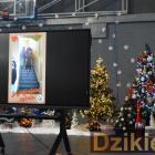 zdjęcie nr 23