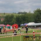 zdjęcie nr 123