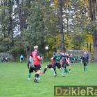 zdjęcie nr 12
