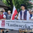 zdjęcie nr 316