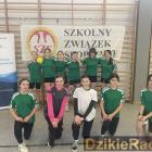 zdjęcie nr 8