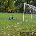 zdjęcie nr 40