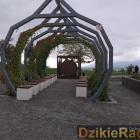zdjęcie nr 22