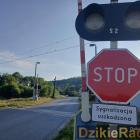 Fotka nr 3 z 6